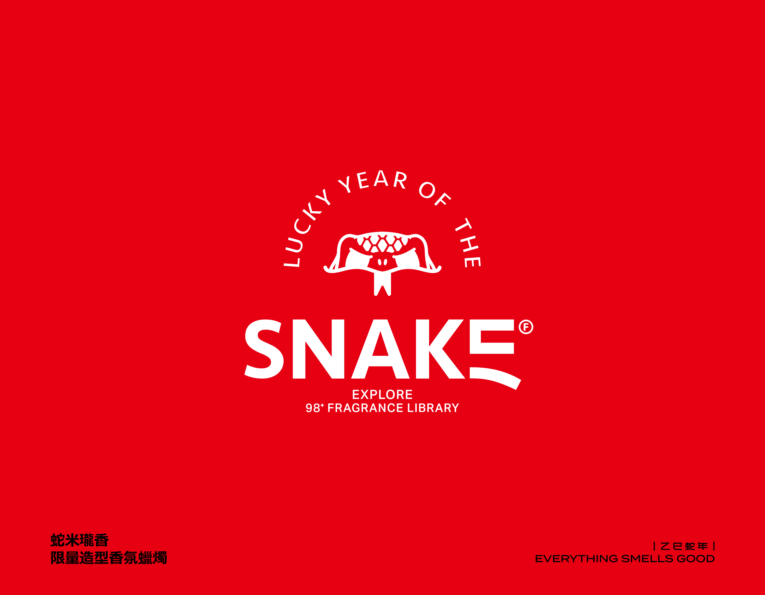 艾特兔乙巳蛇年｜造型蠟燭